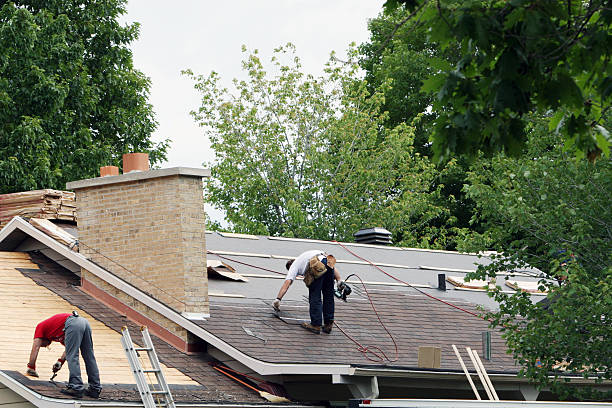 Best Roof Gutter Cleaning  in Arthurdale, WV