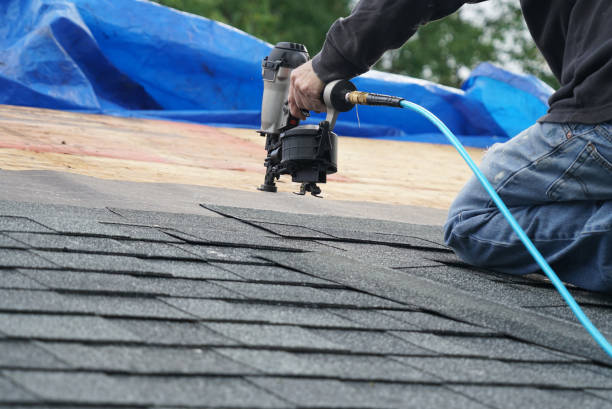 Best Roof Gutter Cleaning  in Arthurdale, WV