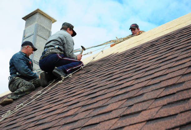 Best Storm Damage Roof Repair  in Arthurdale, WV